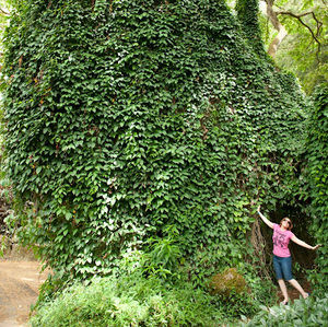 Meet your Posher, Alicia